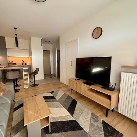 Lejlighed Jarzebinowa Loft By Jumpinhere